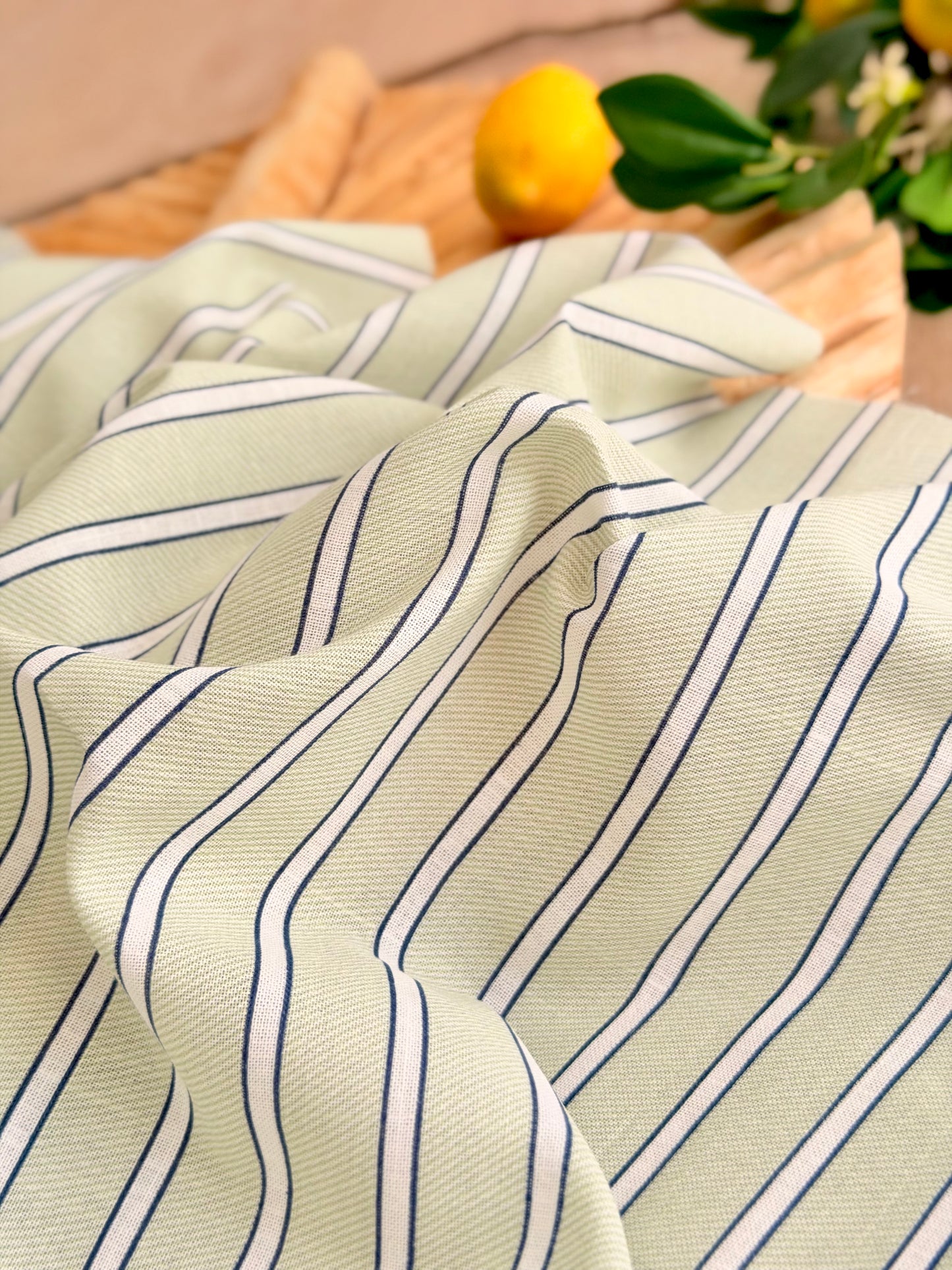 Printed Linen Stripes 22
