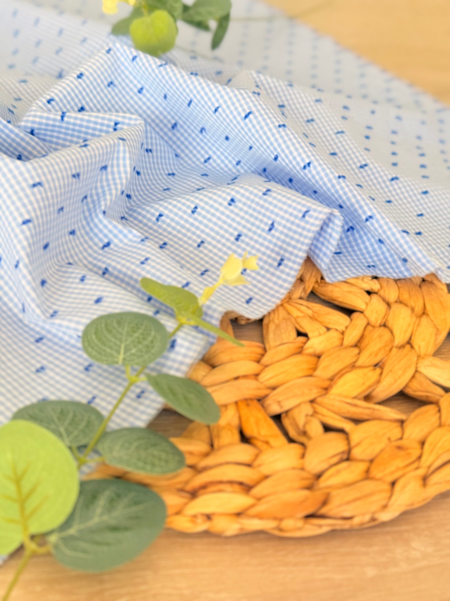 Plumeti Cotton Vichy