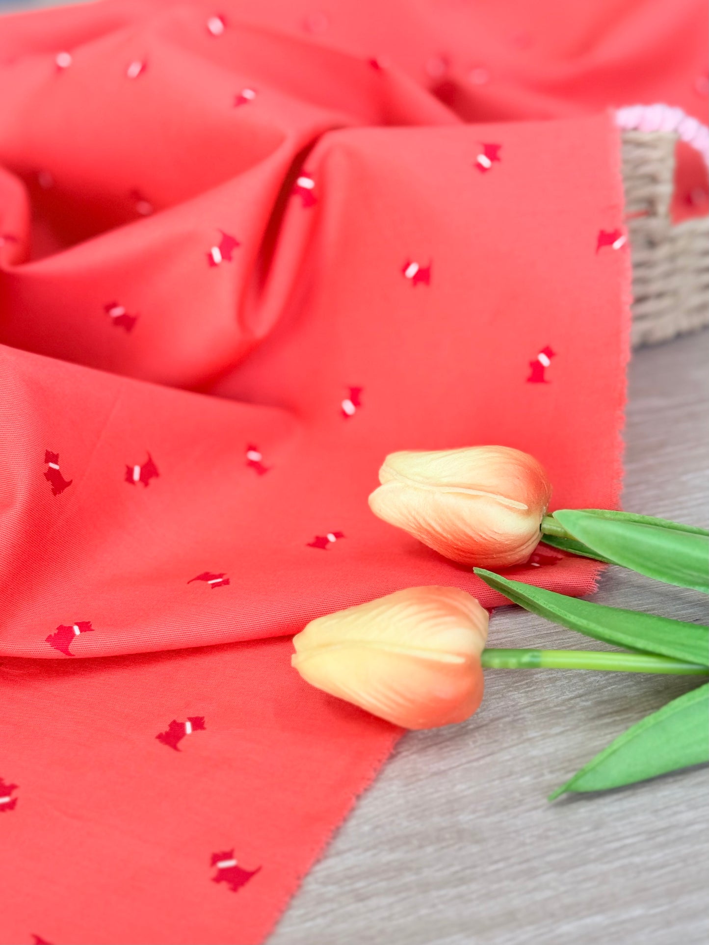 Printed Cotton Ferrioni