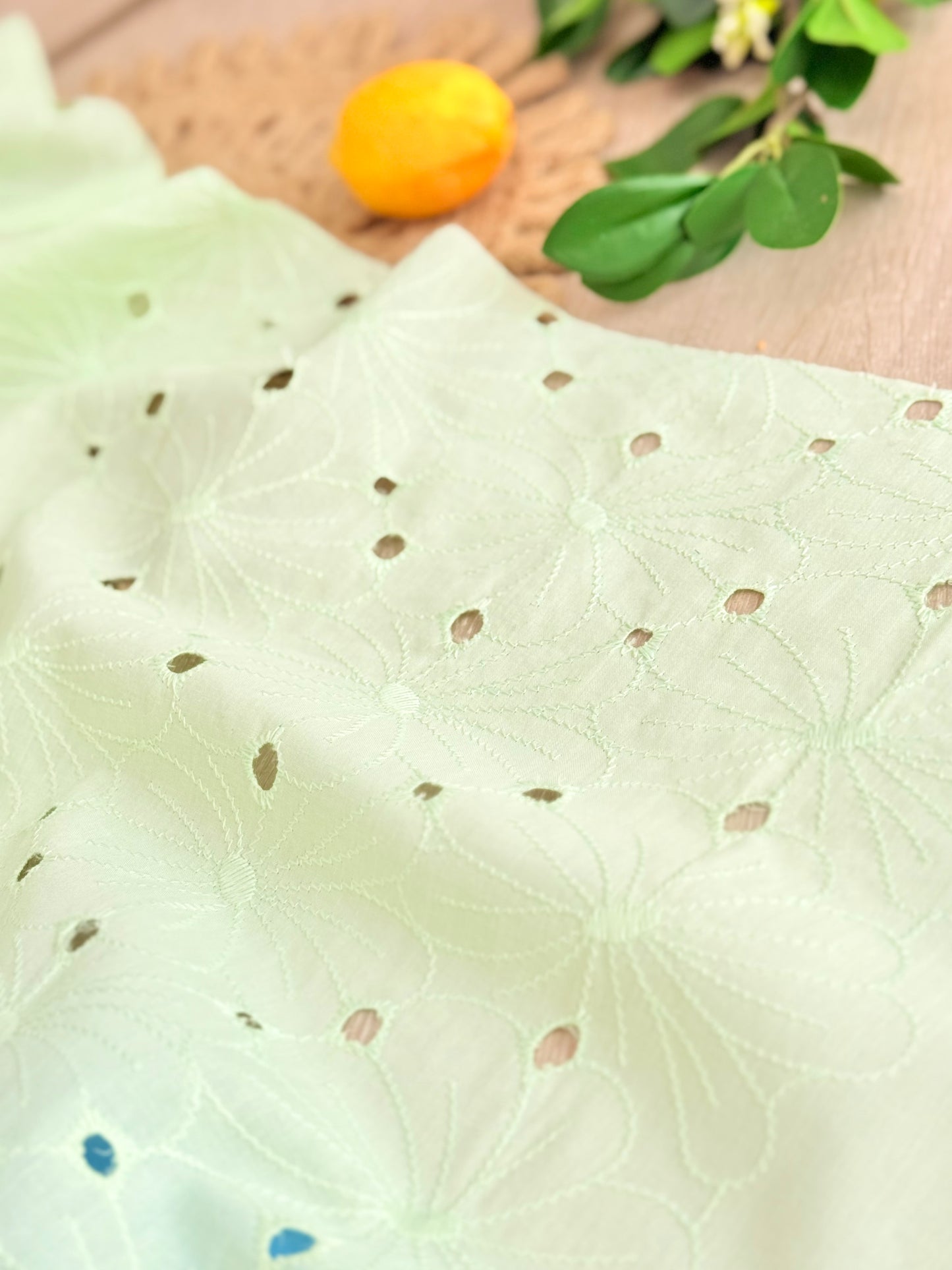 Embroidered Cotton Spring/S55