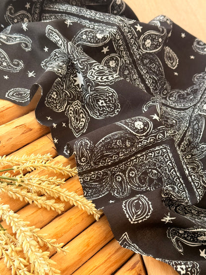 Printed Linen Desert Paisley