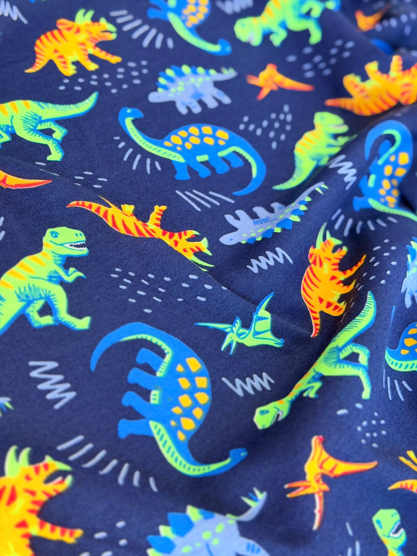 Interlock Dino Adventure