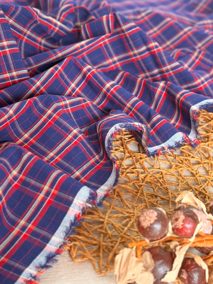 Printed Cotton Checks 27
