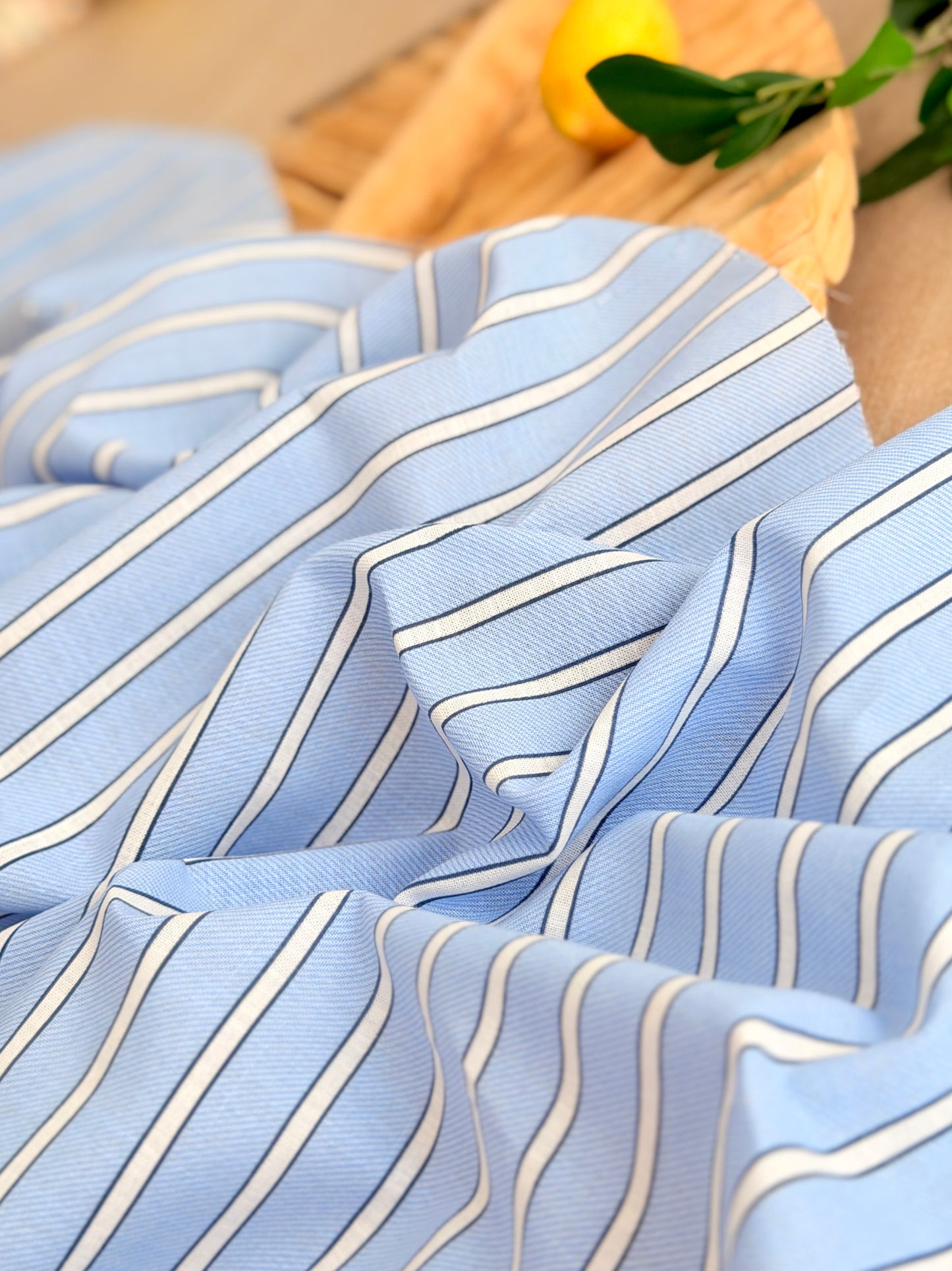 Printed Linen Stripes 22