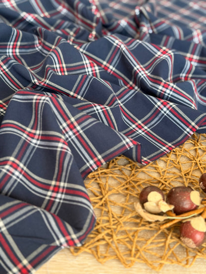 Printed Cotton Checks 19