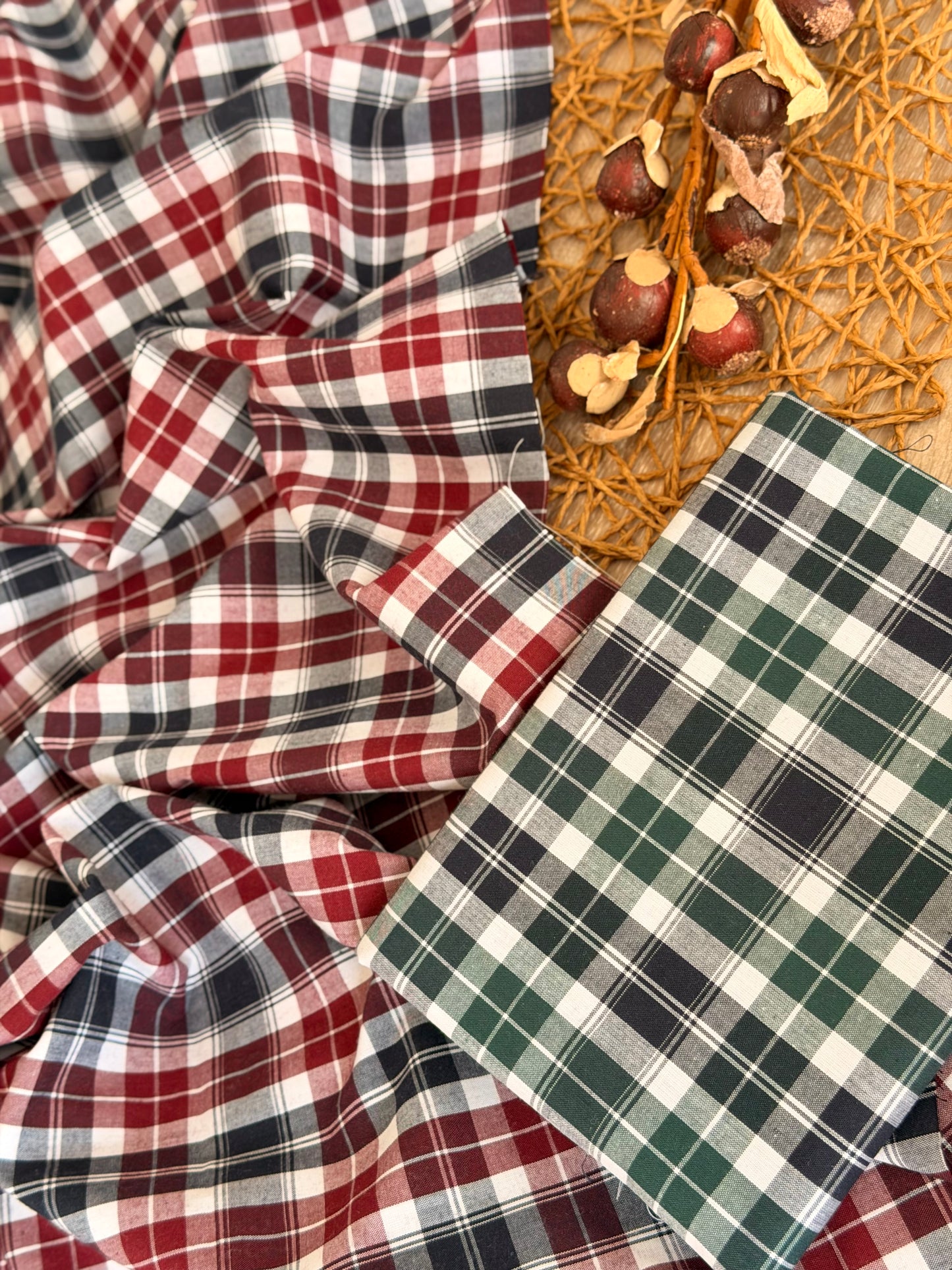 Printed Cotton Checks 20