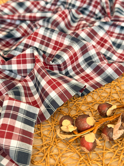 Printed Cotton Checks 20