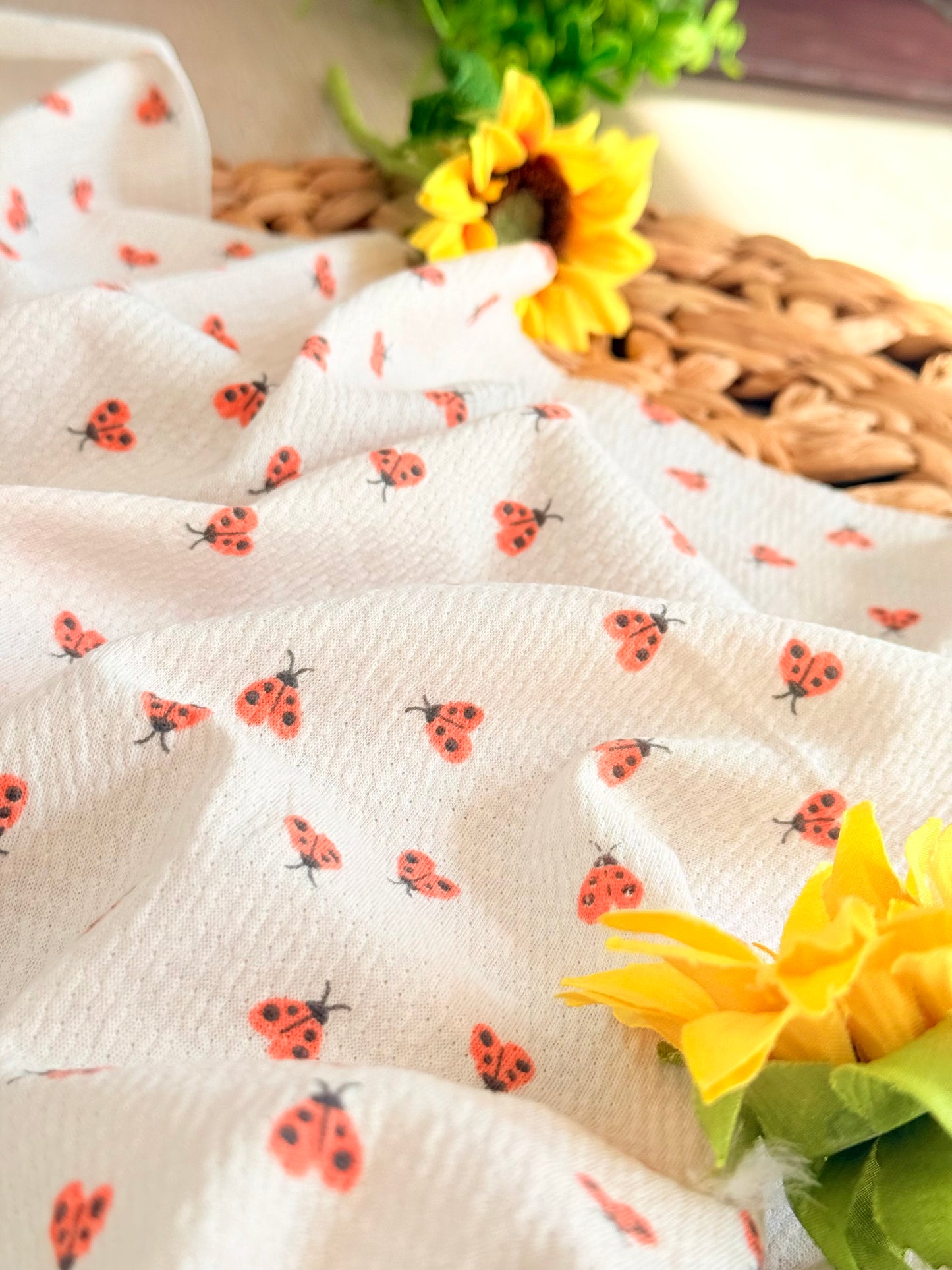 Knitted Seersucker Ladybug Garden