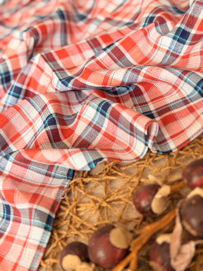Printed Cotton Checks 44