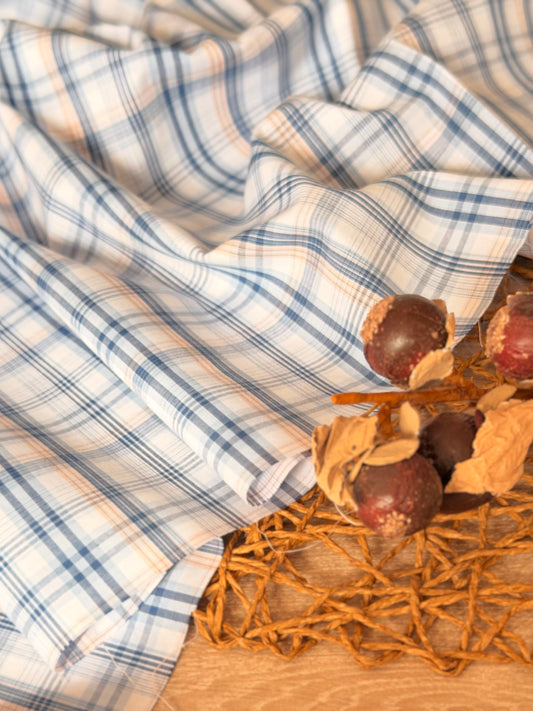 Printed Cotton Checks 36