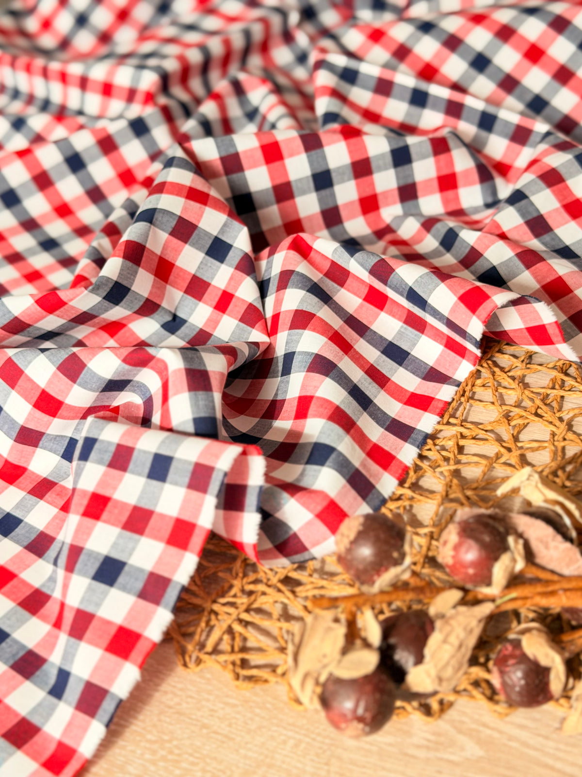 Printed Cotton Checks 38