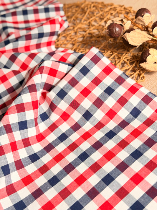 Printed Cotton Checks 38