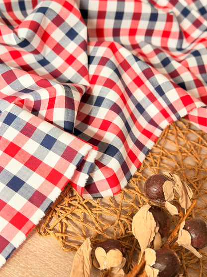 Printed Cotton Checks 38