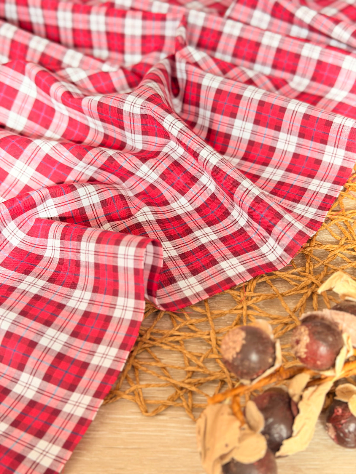 Printed Cotton Checks 40