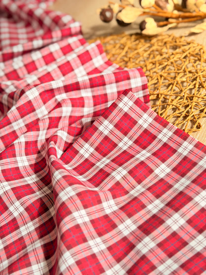 Printed Cotton Checks 40