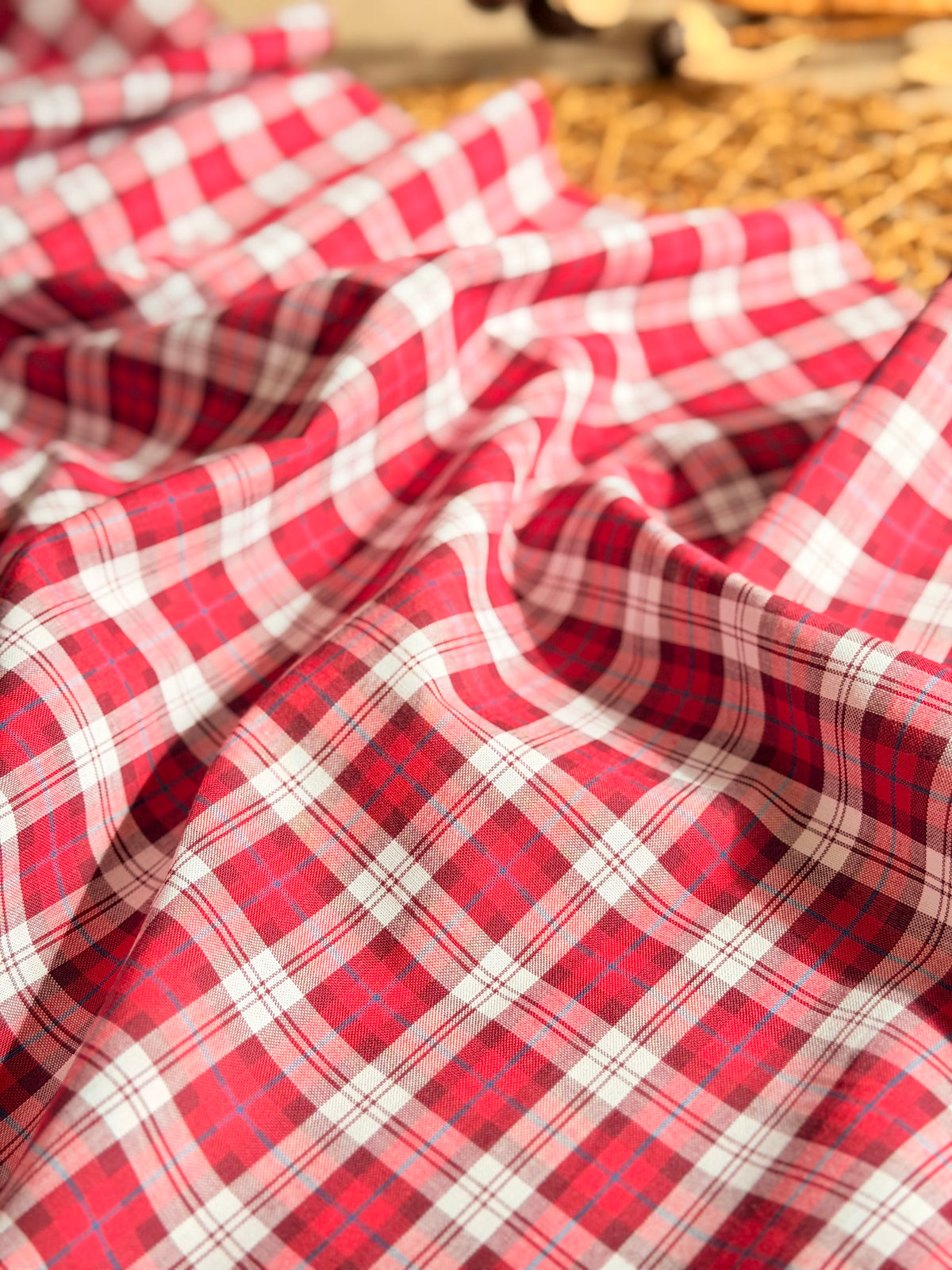 Printed Cotton Checks 40