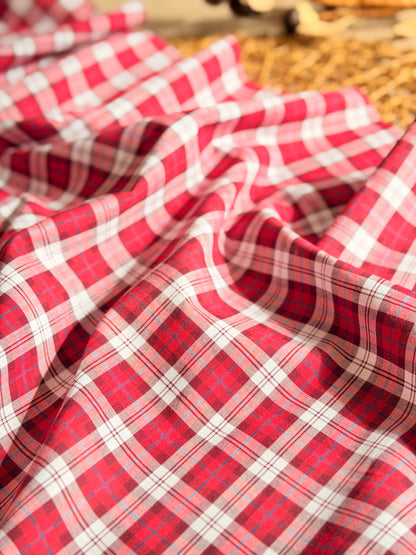 Printed Cotton Checks 40