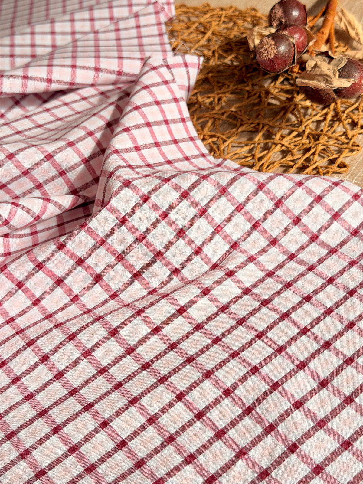 Printed Cotton Checks 42