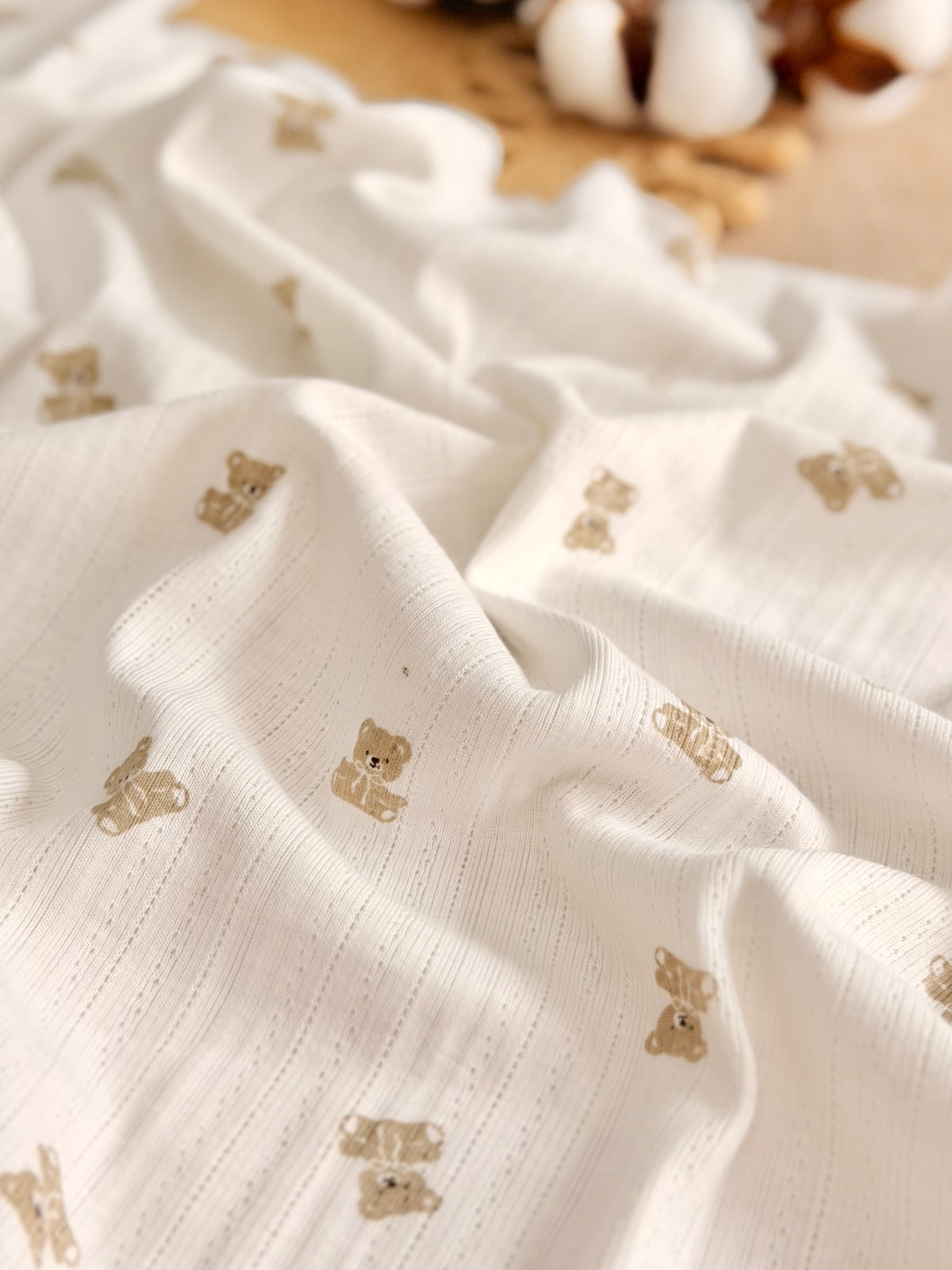 Printed Cotton Jersey Little Teddy