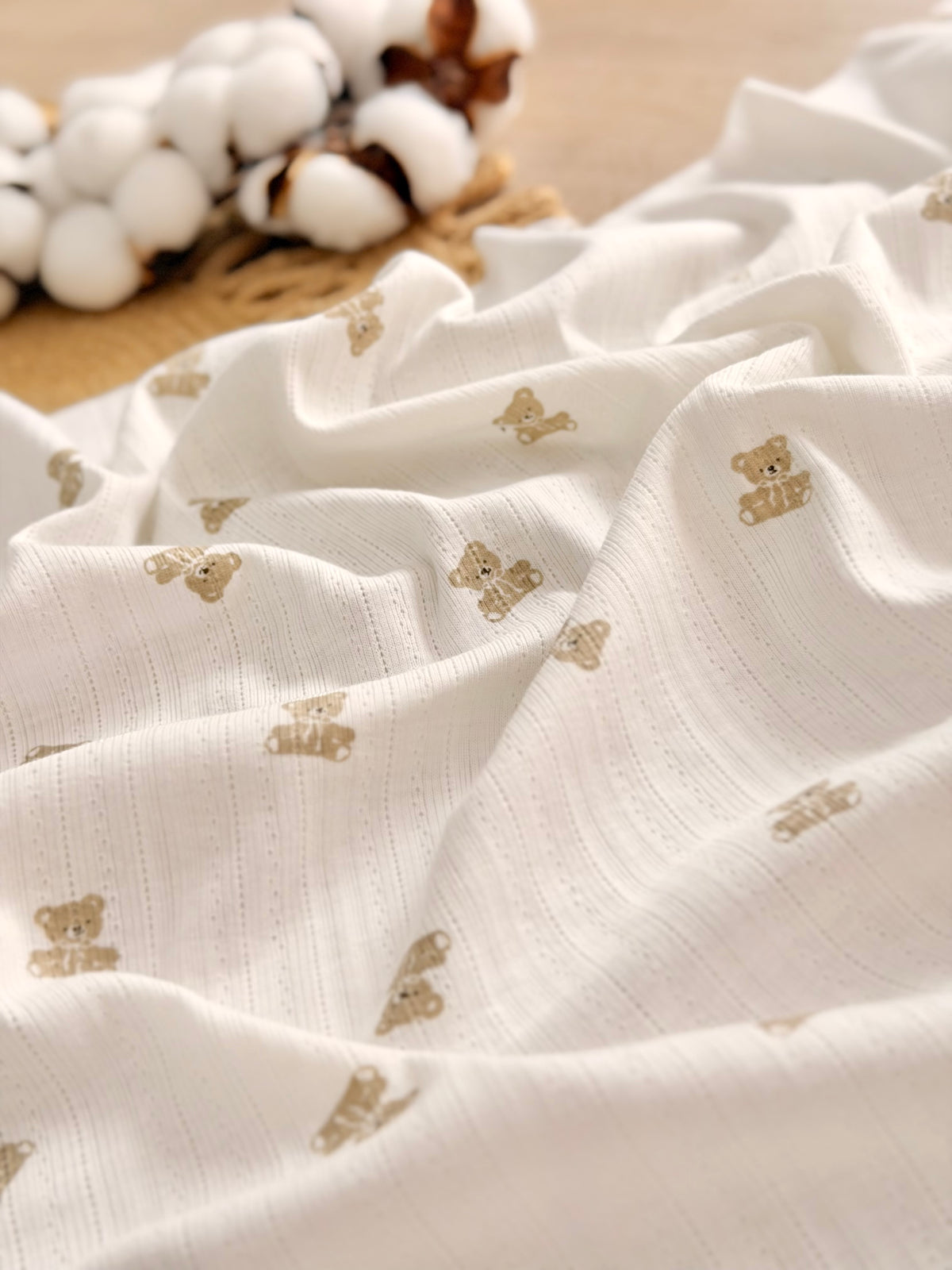 Printed Cotton Jersey Little Teddy