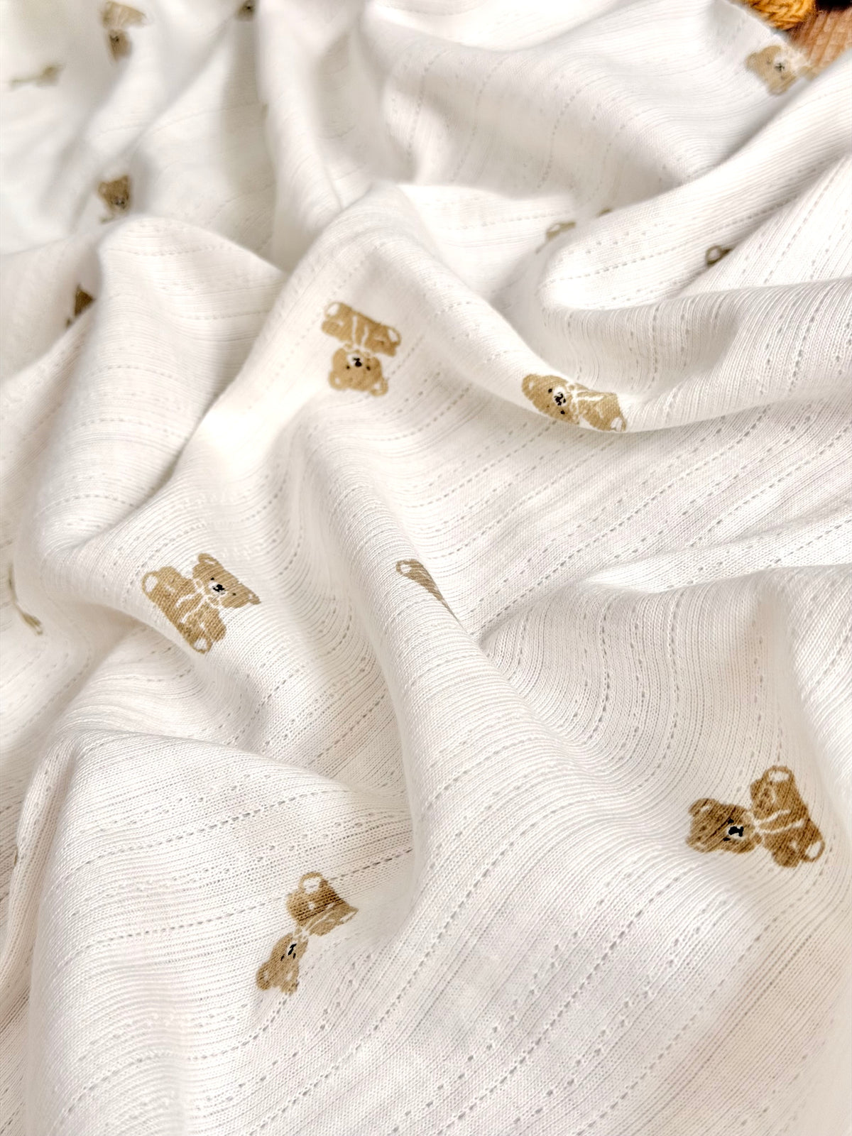 Printed Cotton Jersey Little Teddy
