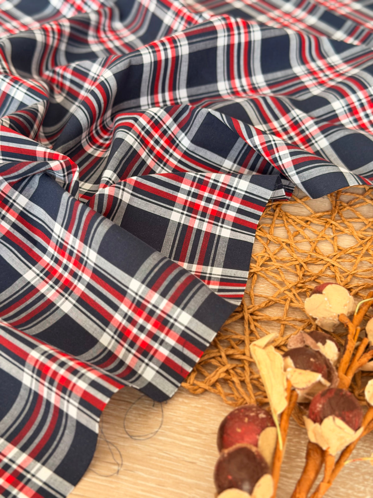 Printed Cotton Checks 34