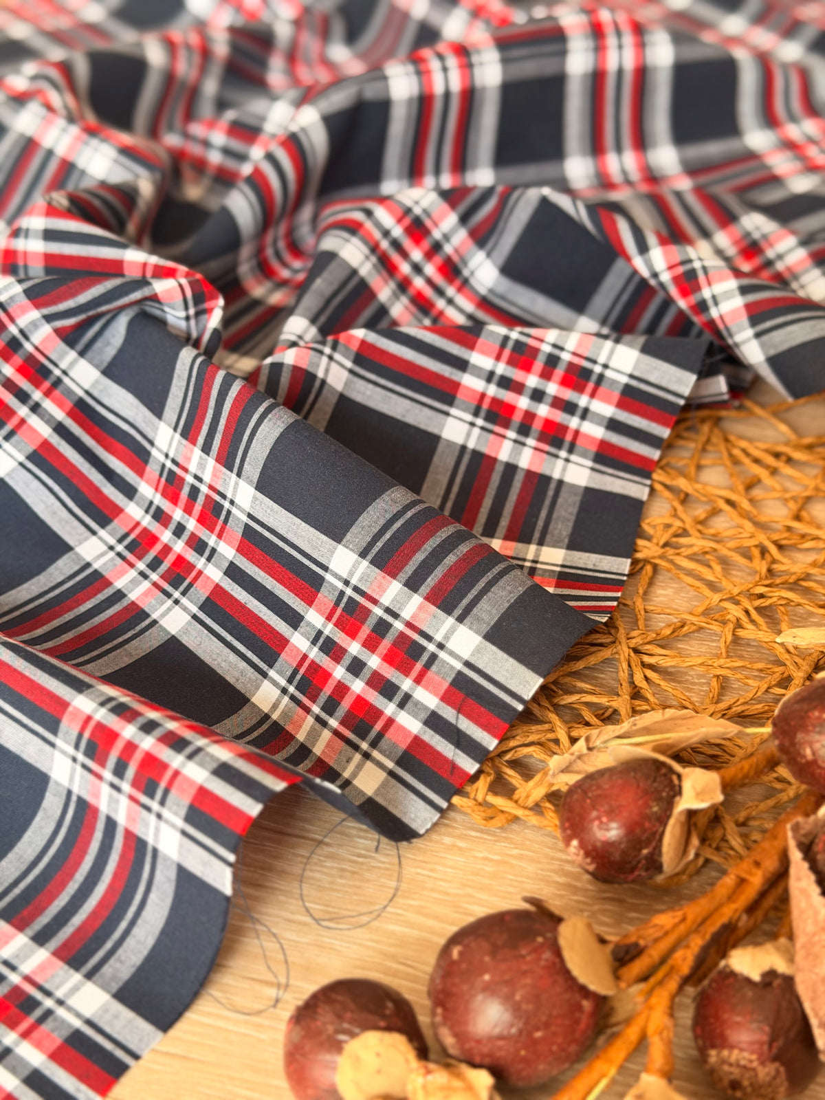 Printed Cotton Checks 34