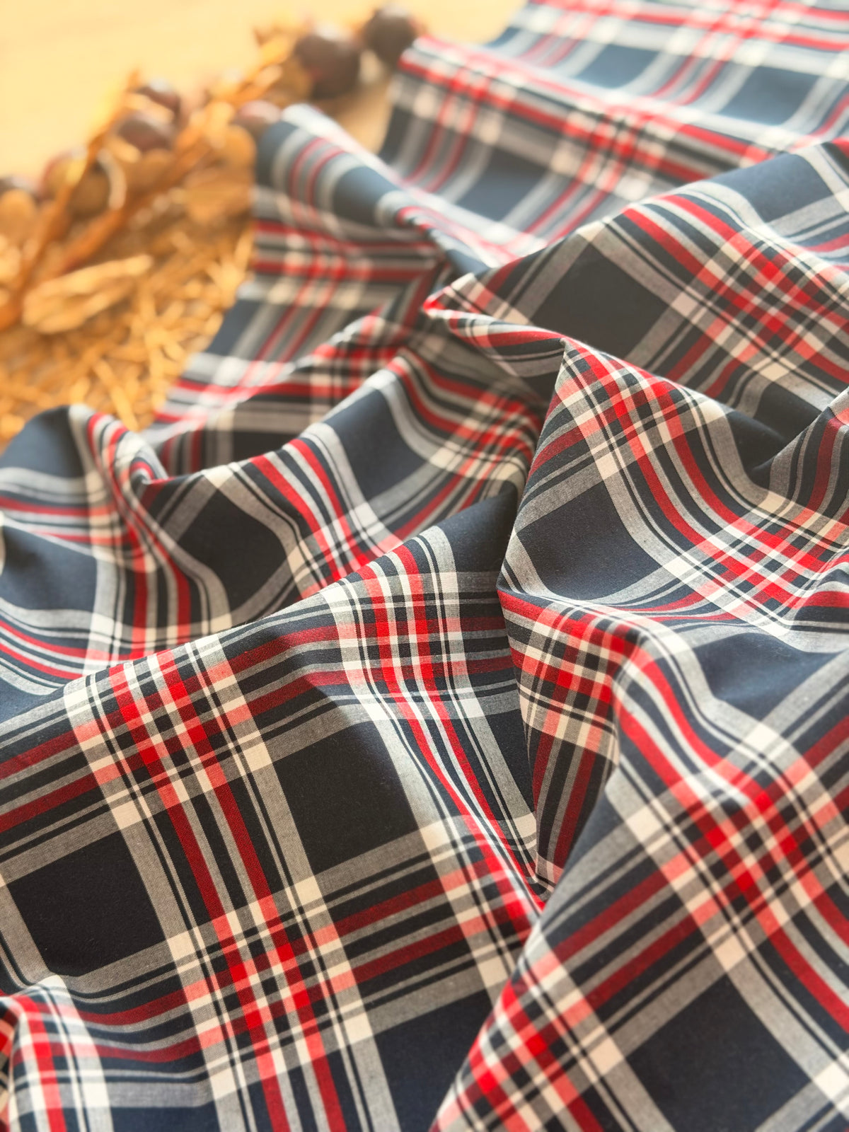 Printed Cotton Checks 34