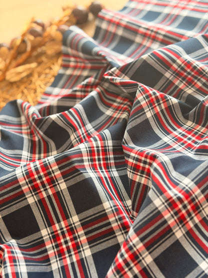 Printed Cotton Checks 34