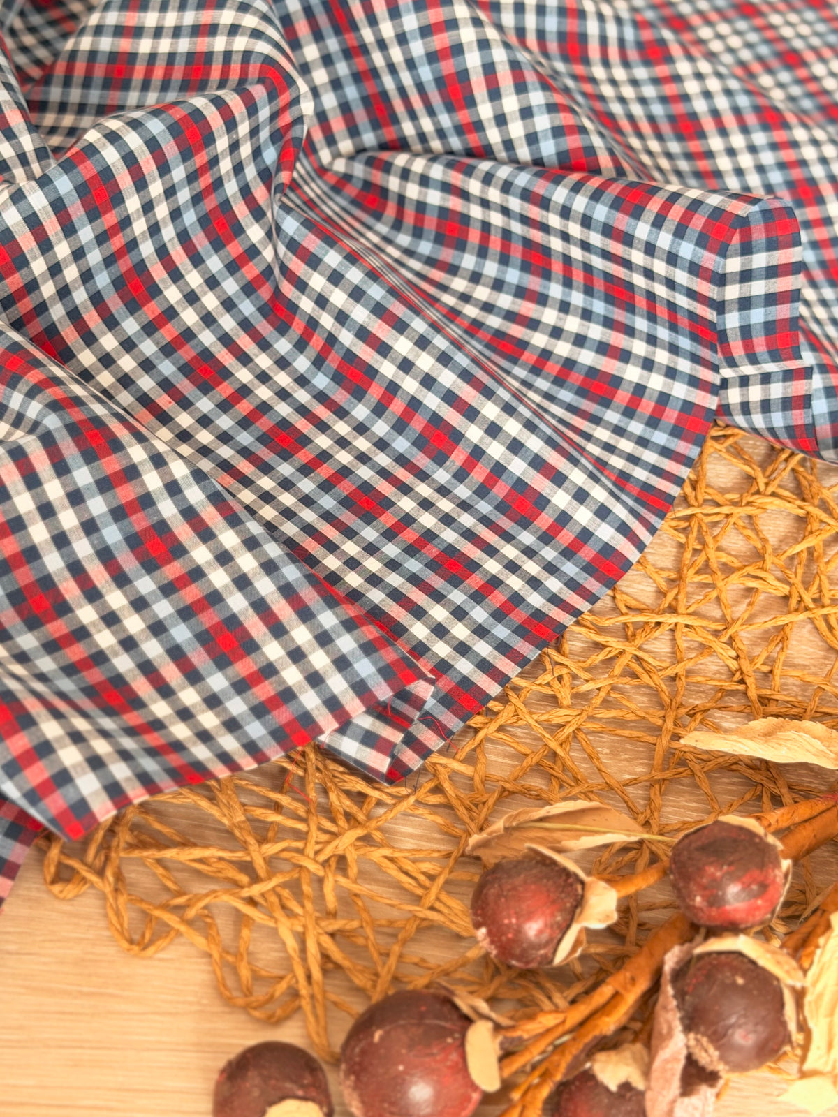 Printed Cotton Checks 35