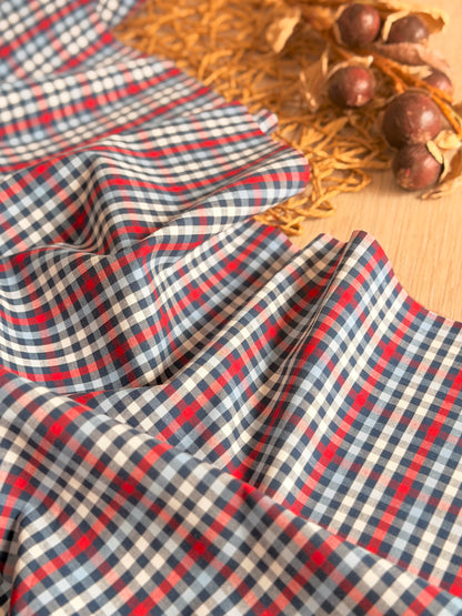 Printed Cotton Checks 35