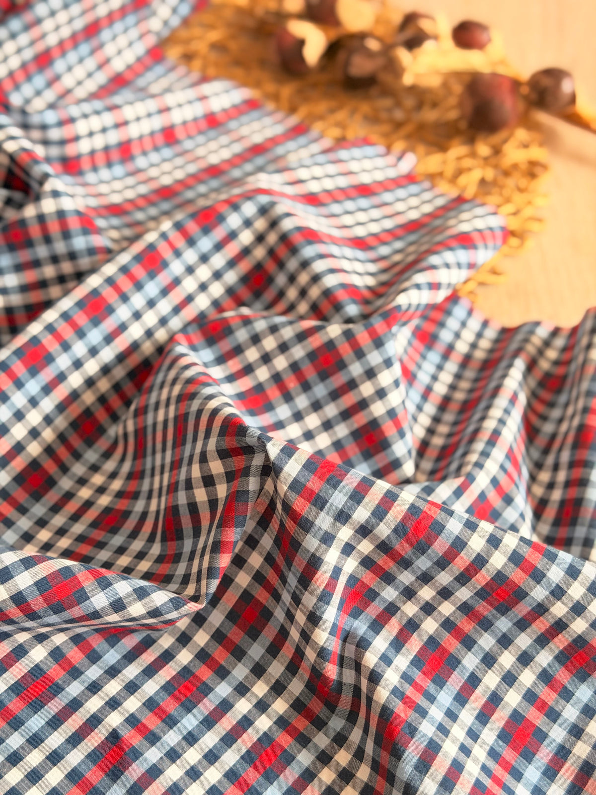 Printed Cotton Checks 35