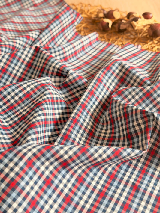 Printed Cotton Checks 35