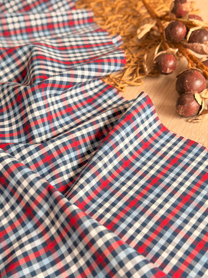 Printed Cotton Checks 35