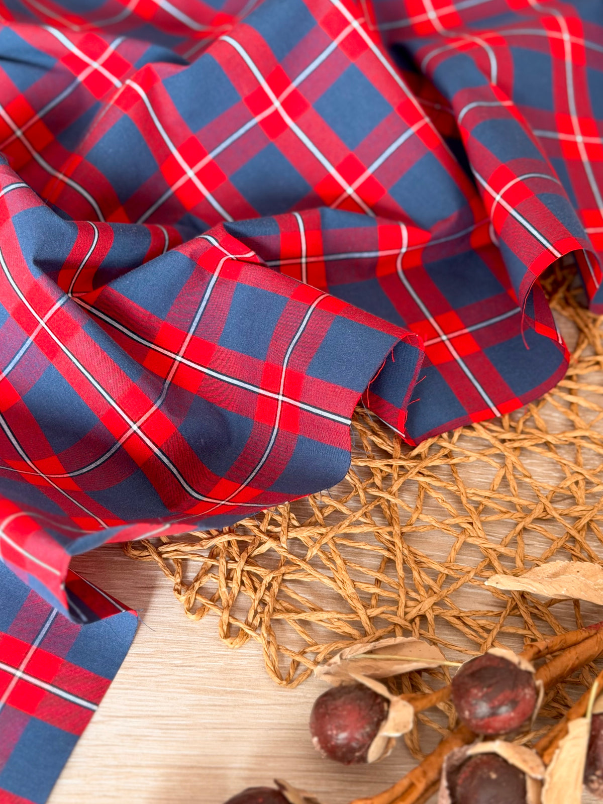 Printed Cotton Checks 36