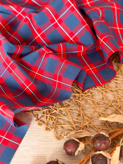 Printed Cotton Checks 36