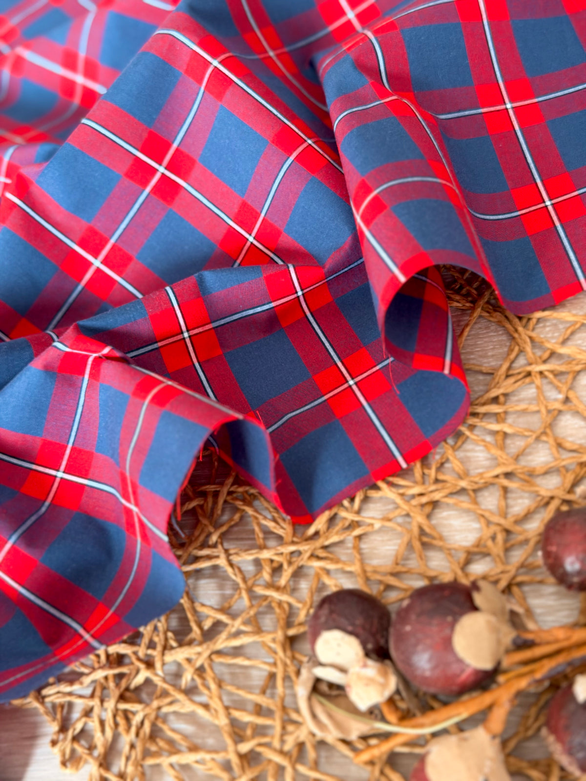 Printed Cotton Checks 36
