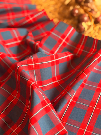 Printed Cotton Checks 36
