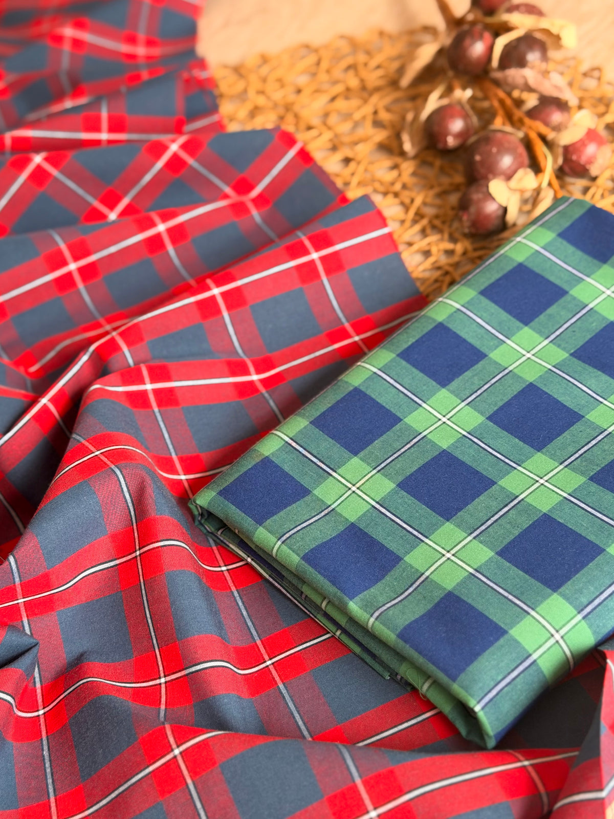 Printed Cotton Checks 36